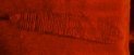 Phoenix sidewheeler sidescan thumbnail